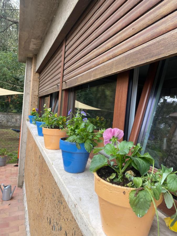 Il Giardinetto Di Elelu' Private Garage Apartamento Orvieto Exterior foto
