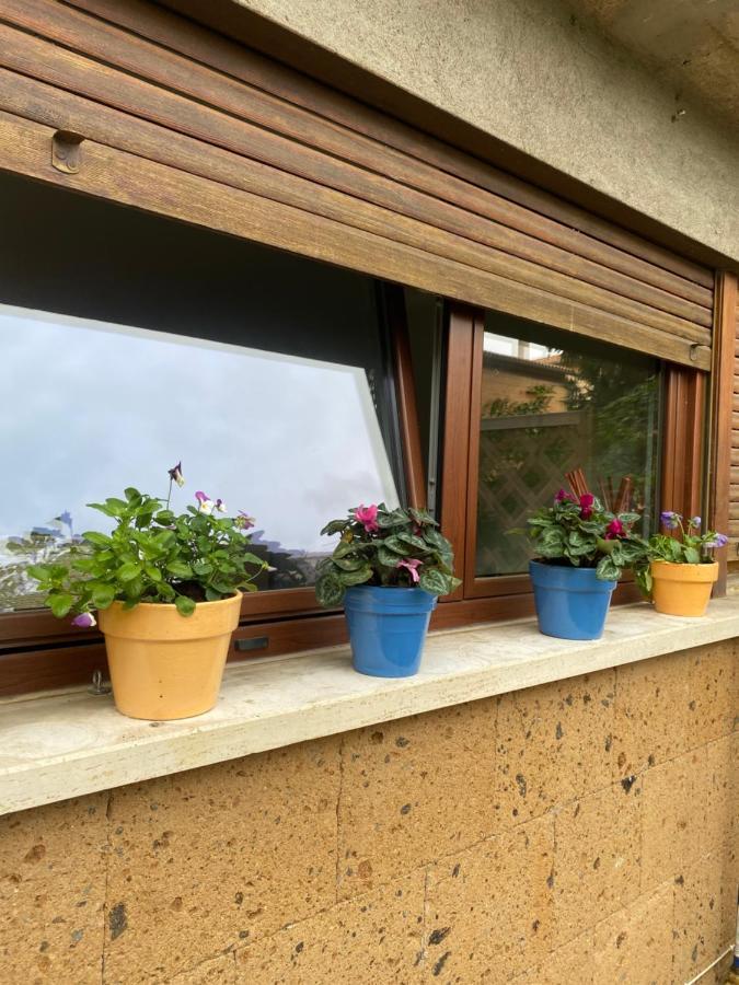 Il Giardinetto Di Elelu' Private Garage Apartamento Orvieto Exterior foto